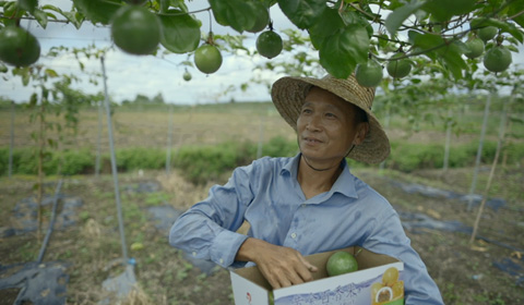原创脱贫攻坚微电影《百香花开》