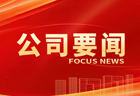 公司多领域取得新成果！