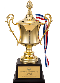 中国航海学会科学技术奖特等奖