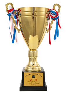 首届全国水利行业BIM应用大赛金奖