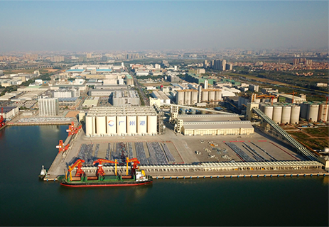 新沙项目竣工！打造珠江两岸粮食运输新格局！ 